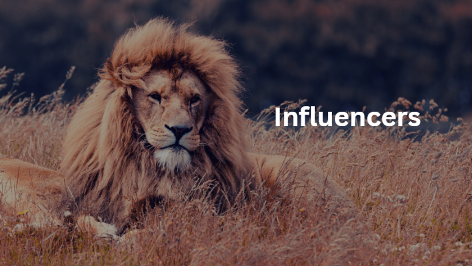 Influencers